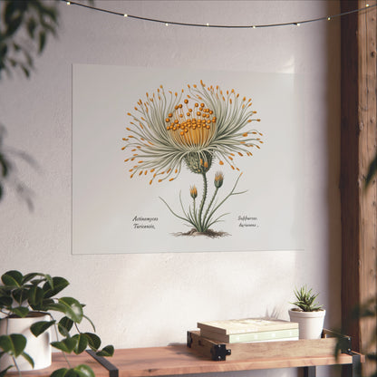 Botanical Actinomyces Imaginary Microbiology Fine Art Poster