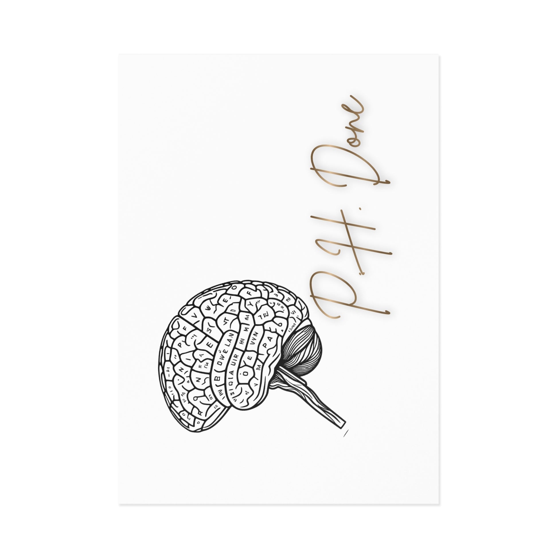 Postcards PH Done Brain Illustration anatomical illustration cards