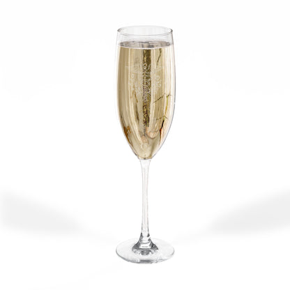 Graduation Champagne Flute  Caduceus Engraved