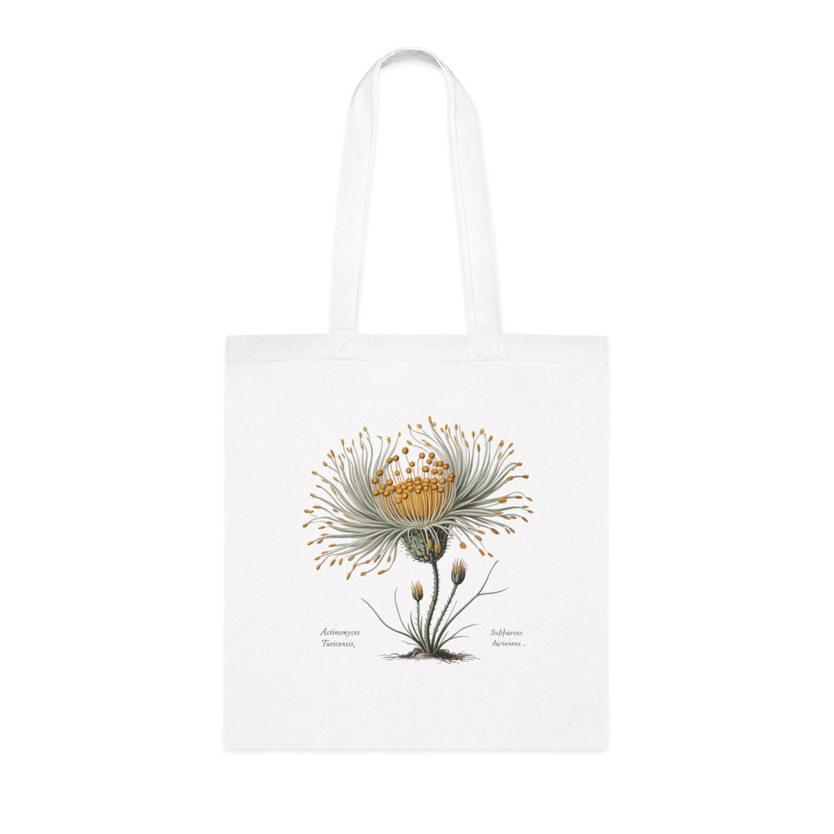 Vintage Actinomyces Illustration Cotton Tote