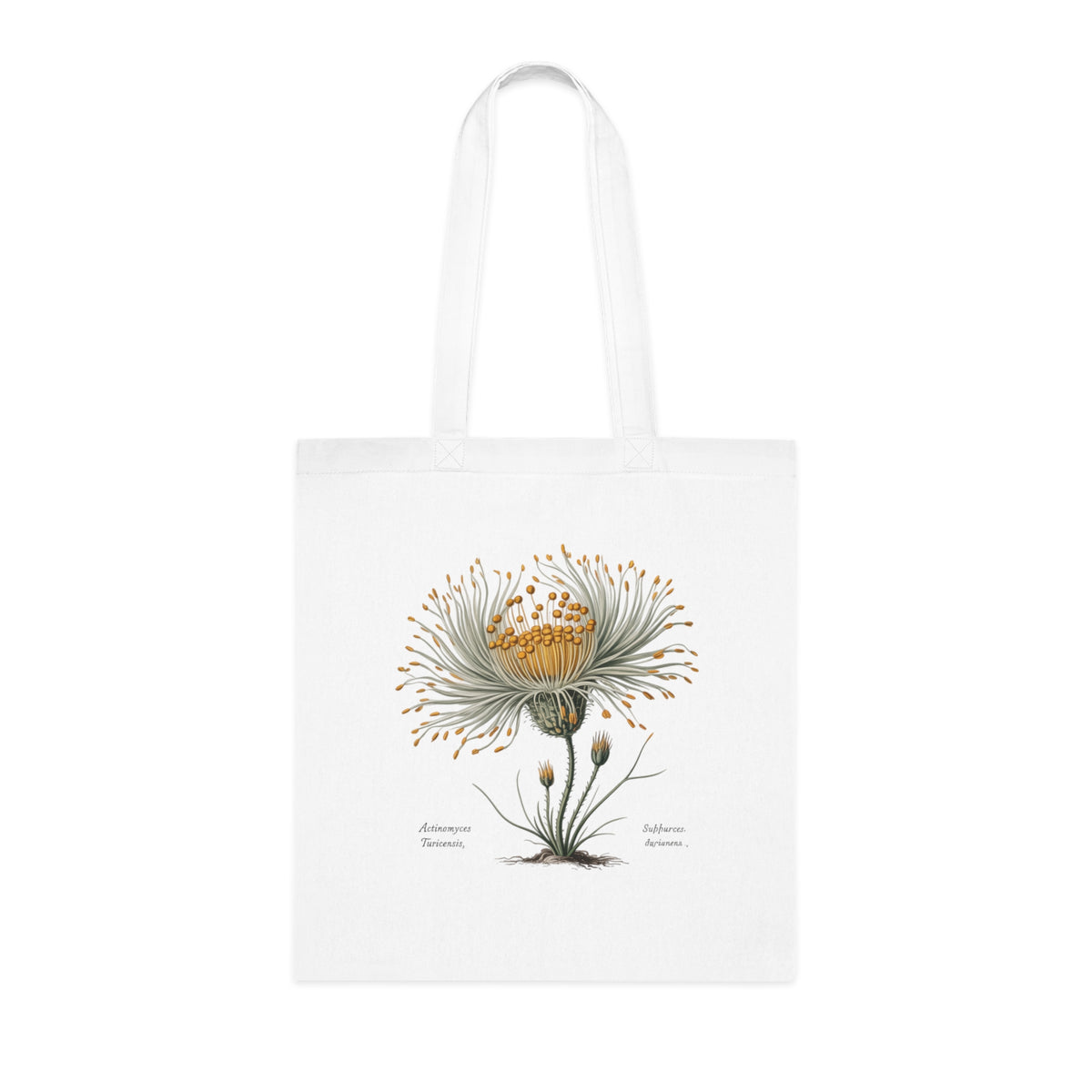 Vintage Actinomyces Illustration Cotton Tote