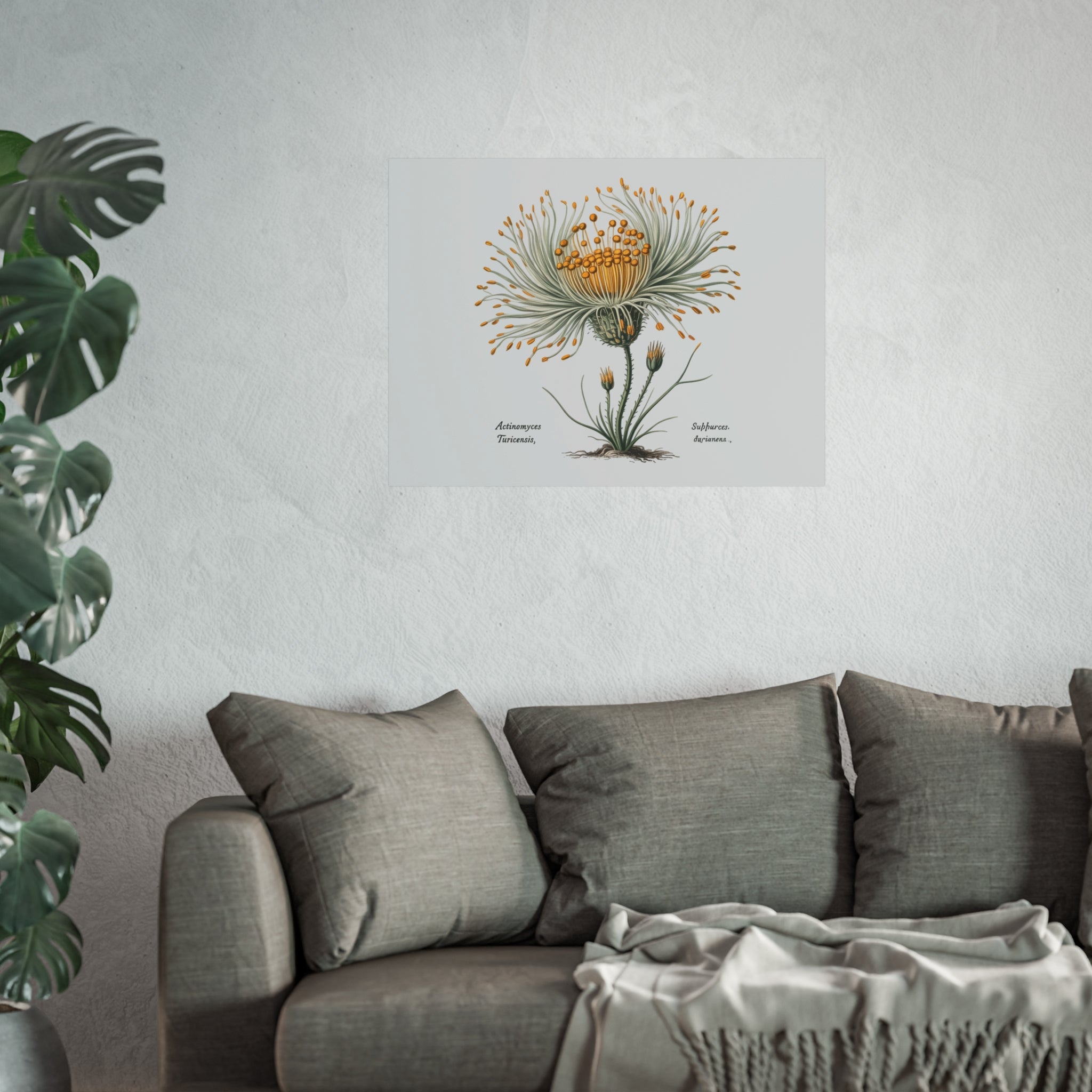 Botanical Actinomyces Imaginary Microbiology Fine Art Poster