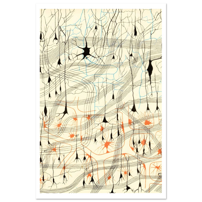 Nerve Cells in Dog's Olfactory Bulb Art of Medicine 16