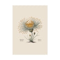 Botanical Actinomyces Imaginary Microbiology Fine Art Poster