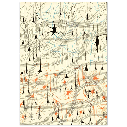 Nerve Cells in Dog's Olfactory Bulb fine art poster graphic view