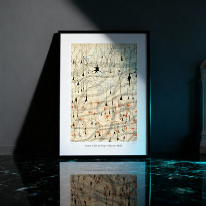 Nerve Cells Fine Art Poster unique medical history art