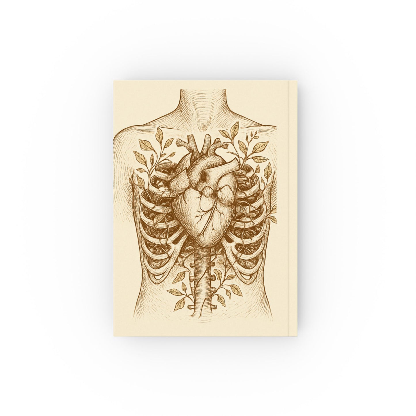 Anatomical Heart Journal professional medical research journal