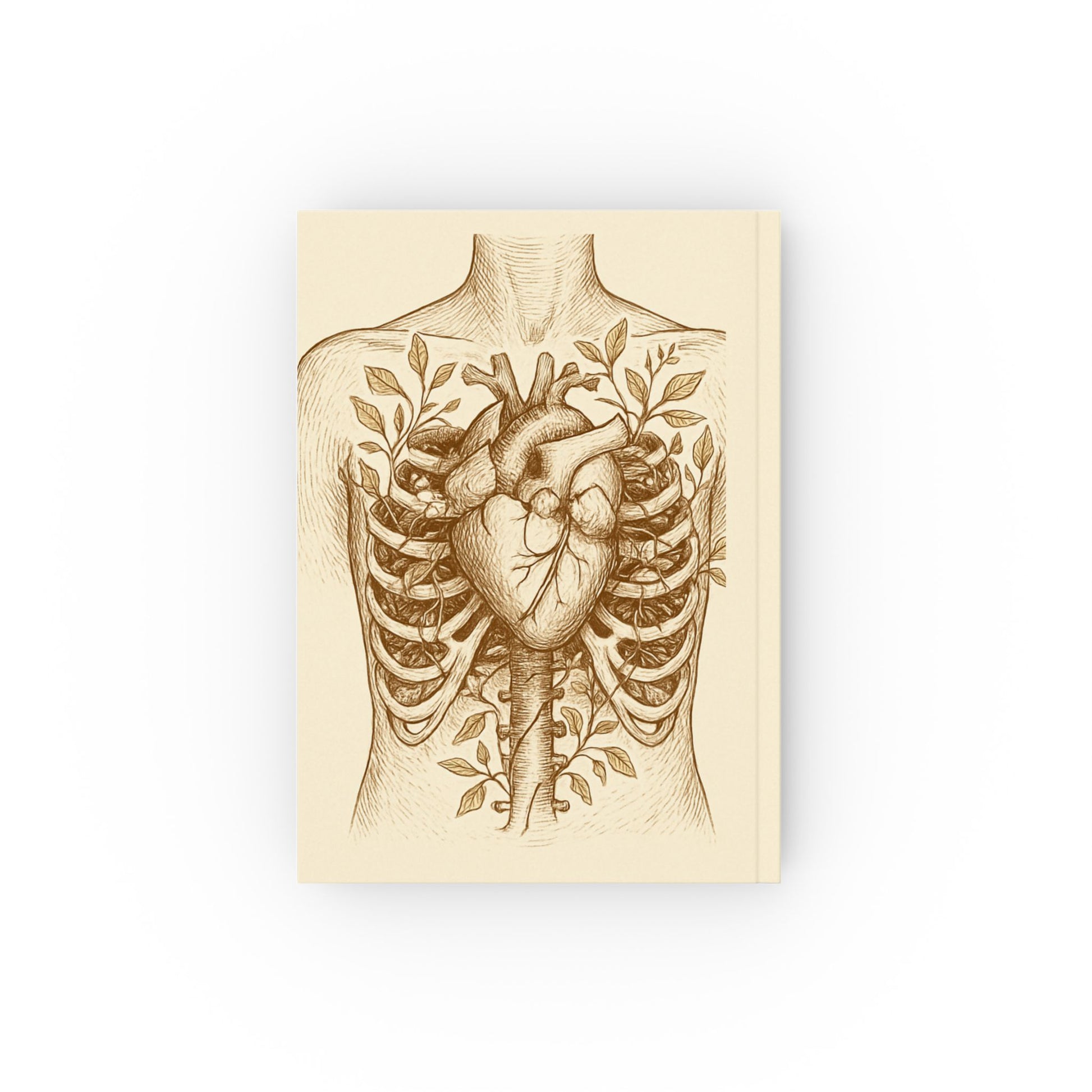 Anatomical Heart Journal professional medical research journal