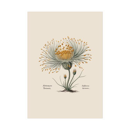 Botanical Actinomyces Imaginary Microbiology Fine Art Poster