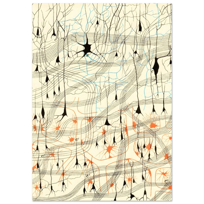 Nerve Cells in Dog's Olfactory Bulb Art of Medicine 11