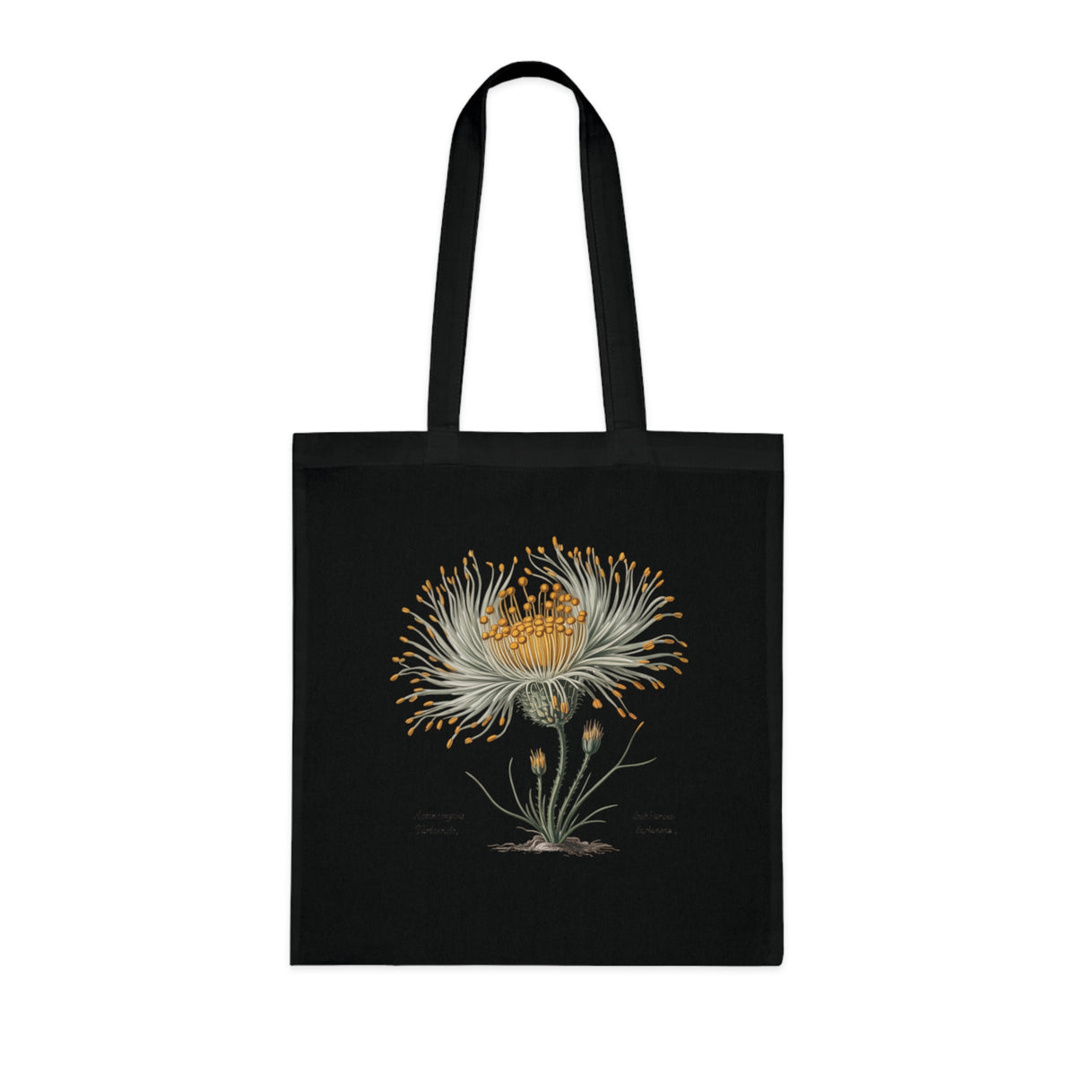 Vintage Actinomyces Illustration Cotton Tote