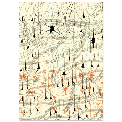 Nerve Cells in Dog's Olfactory Bulb Art of Medicine 15